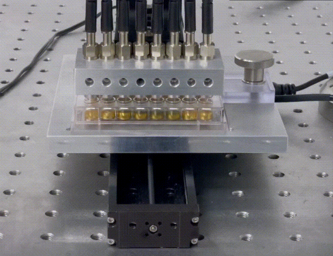 In vitro diagnostic